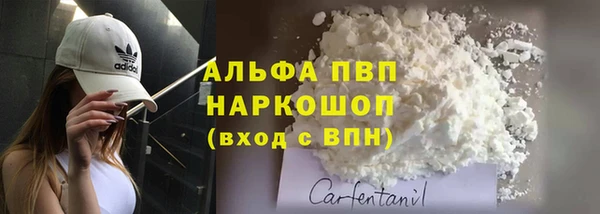 Альфа ПВП Каменка