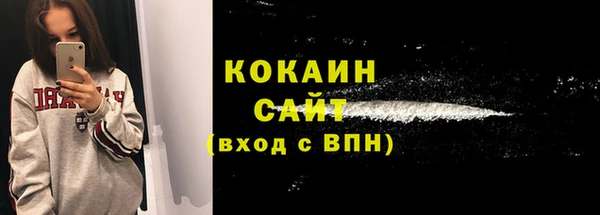 Альфа ПВП Каменка