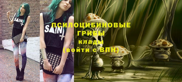 Альфа ПВП Каменка