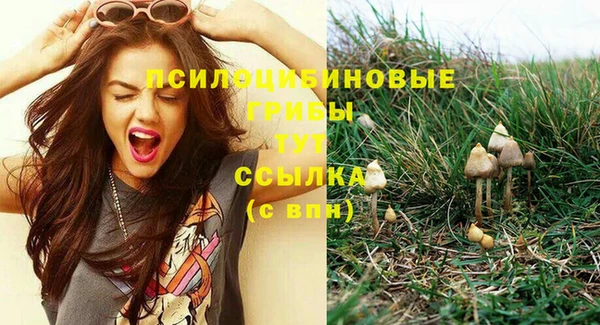 Альфа ПВП Каменка