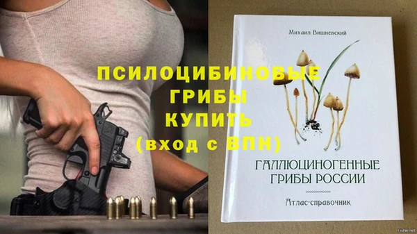 винт Каменногорск
