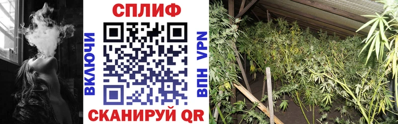 Купить  Калязин  Бошки марихуана Amnesia 